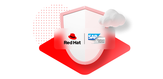 SAP workloads