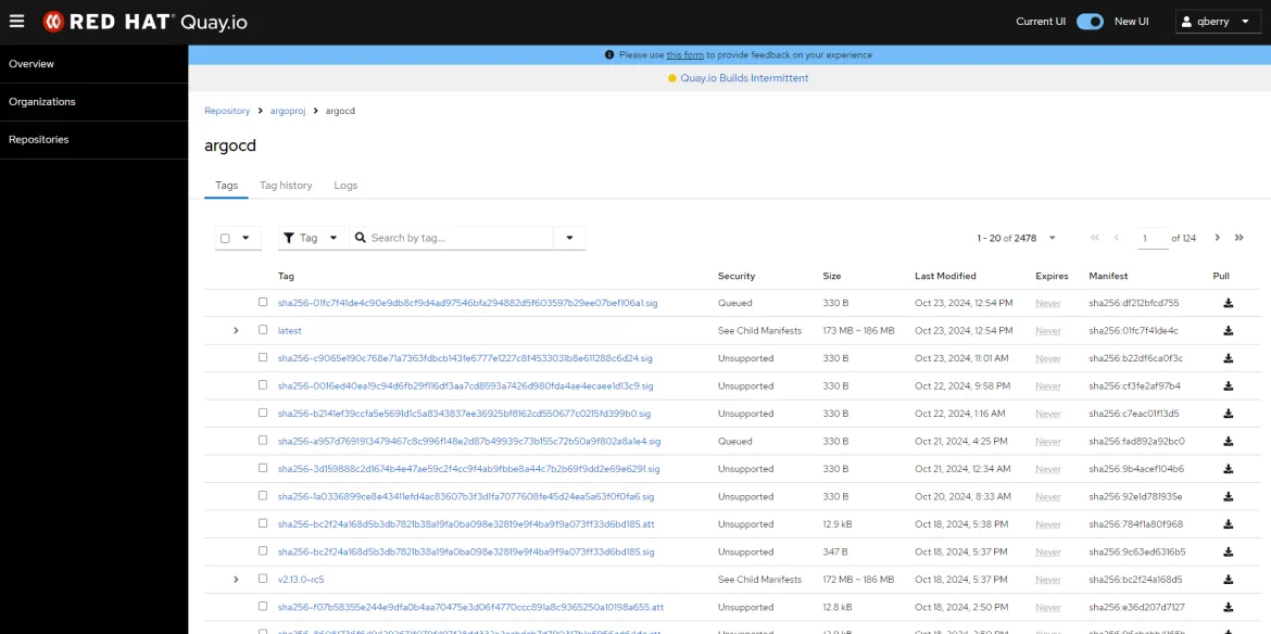 Screenshot of the argocd Tags list