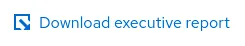 Download executive report