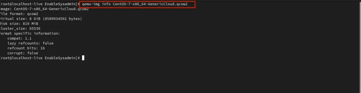 Result of QEMU-INFO