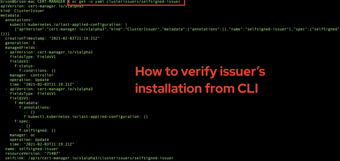 verify issuer at CLI
