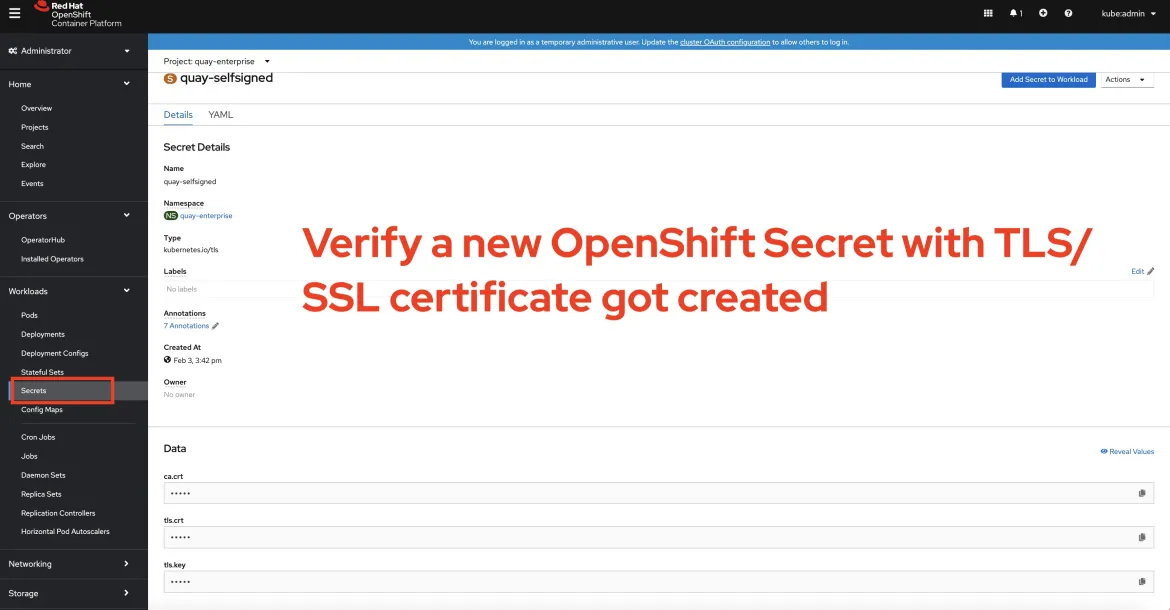 verify certificate in OpenShift