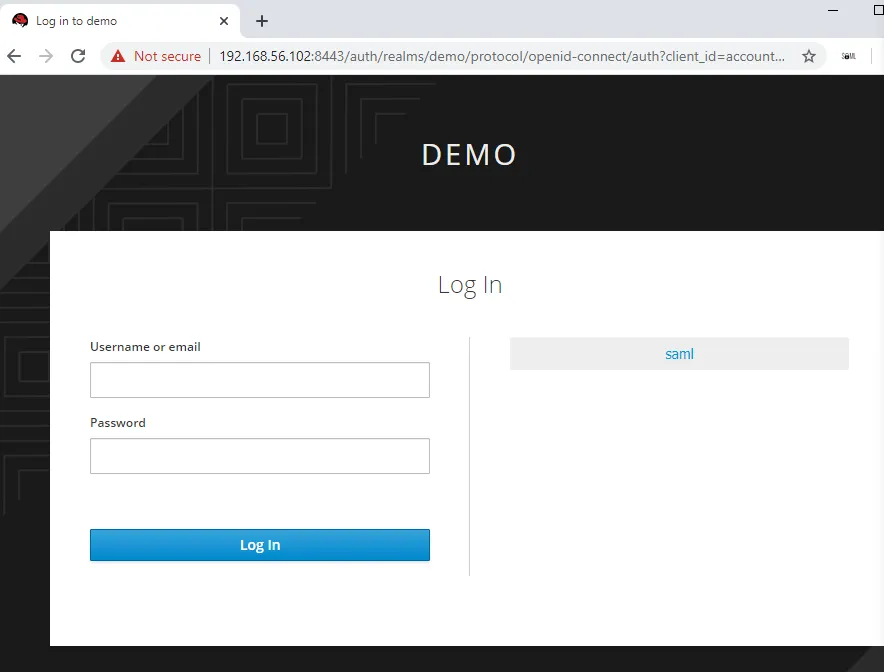 Image of a login demo